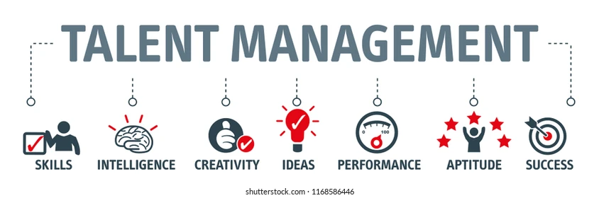 banner-human-resource-management-talent-260nw-1168586446