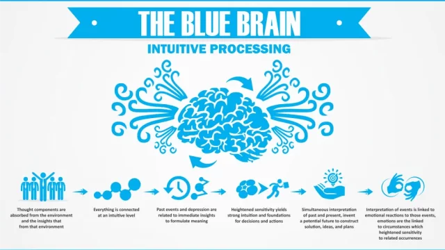 blue-brain-1024×593