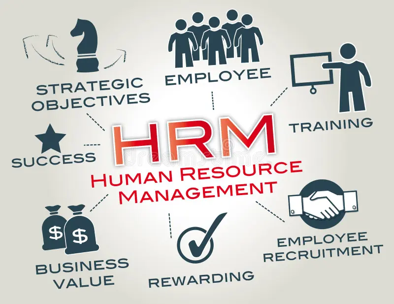 human-resource-management-hrm-function-organizations-designed-to-maximize-employee-performance-service-their-40265090