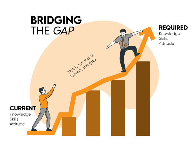 training-needs-analysis-bridge